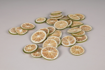 x020lw Tranches d'oranges vertes s�ch�es 