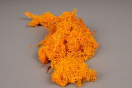 x024ab Mousse Islande préservée orange 