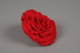 x025vv Boîte de 1 rose stabilisée rouge