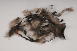 x030lw Boîte de plumes de coq naturelles 45g