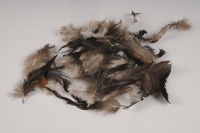 x030lw Box of natural cock's feather 45g