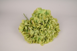 x034jp Green artificial hydrangea H46cm