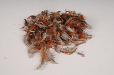 x034lw Bo�te de plumes naturelles marron 45g