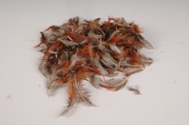 x034lw Box of natural brown feathers 45g