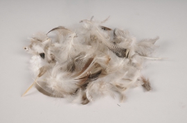 x035lw Box of natural grey feathers 30g