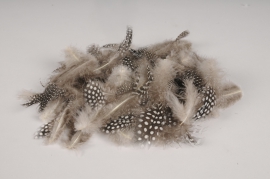 x039lw Boîte de plumes de pintade naturelles 45g