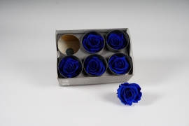 x040vv Boîte de 6 roses stabilisées bleues