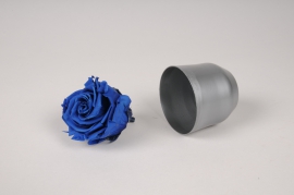 x040vv Boîte de 6 roses stabilisées bleues