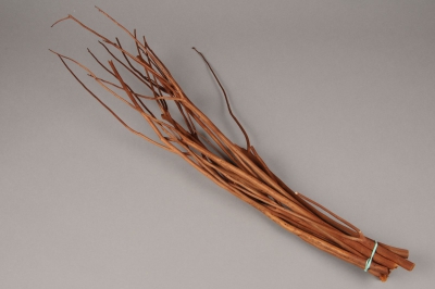 x045ab Branches de mitsumata marron H55cm