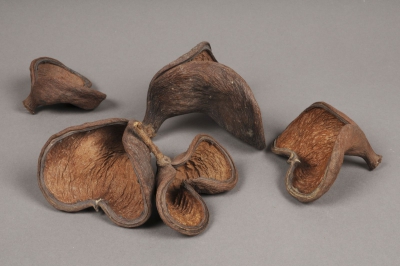 x045ec Paquet de 10 badam naturel D8cm
