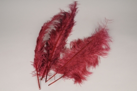 x046lw Sachet de 5 plumes d'autruche framboise