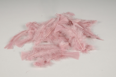 x055lw Bo�te de plumes vieux roses 45g