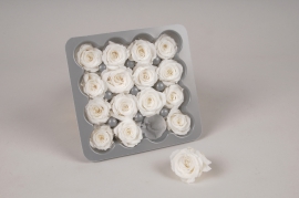 x058vv Box of 16 small white preserved roses