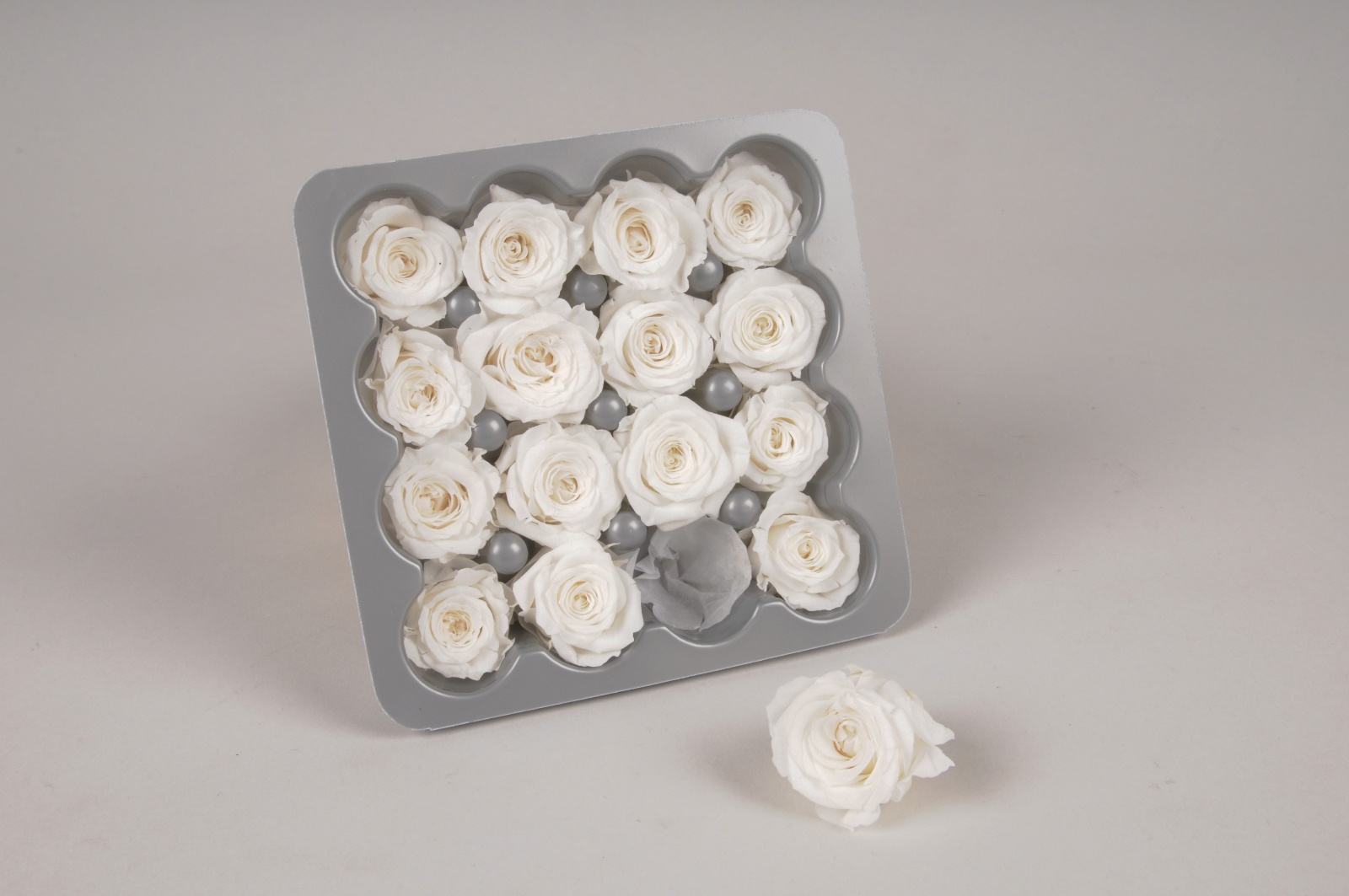 Box of 16 white small preserved roses