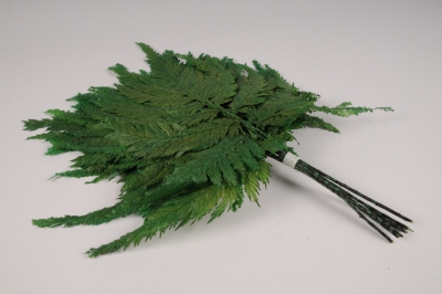 x060vv Foug�re stabilis�e verte H46cm