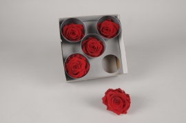 x072vv Boîte de 5 roses stabilisées rouges