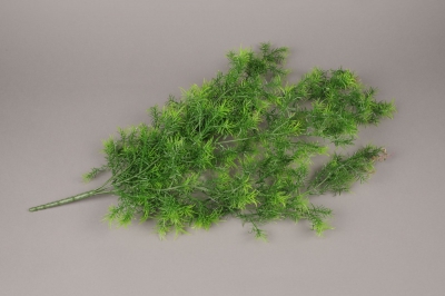 x073ee Asparagus artificiel vert L75cm