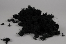x075ab Black preserved iceland moss 500g