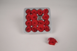 x075vv Box of 16 small red preserved roses