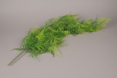 x076ee Asparagus artificiel vert H80cm