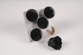 x077vv Boîte de 5 roses stabilisées noires