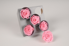 x079vv Boîte de 5 roses stabilisées roses