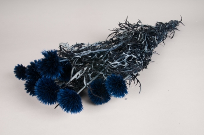 x085ab Blue preserved echinops H65cm