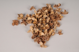 x085ec Natural dried cotton pods 500g