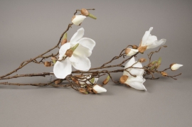 x089ee Branche de magnolia artificielle crème H105cm