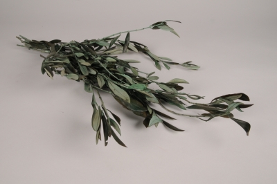 x090vv Green preserved olive tree H62cm