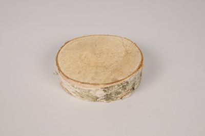 x091lw Tranche de bouleau D12cm