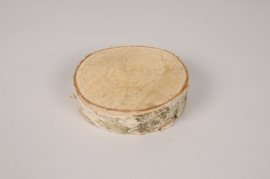 x091lw Tranche de bouleau D12cm
