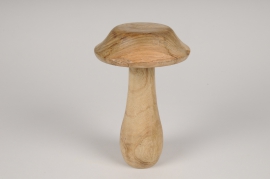 x093hm Wooden mushroom D12cm H20cm