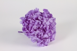 x094vv Hortensia préservé lilas H29cm