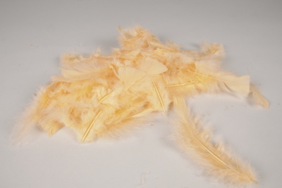 x097lw Box of  light orange turkey feathers 45gr