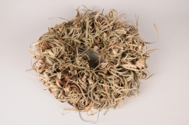 x099lw Natural dried tiririca leaf wreath D35cm
