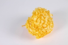 x100vv Yellow preserved hydrangea H20cm