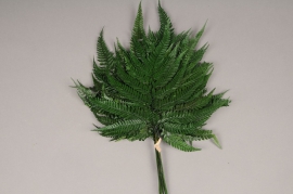 x101ab Green preserved fern D40cm