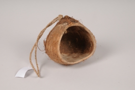 x101ec Natural coconut D13cm H12cm