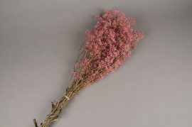 x102ab Pink preserved gypsophilia H75cm