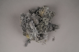 x104ab Grey preserved iceland moss 500g