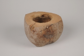 x104ec Natural coconut D18cm H12.5cm