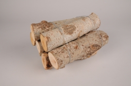 x105lw Fagot de 7 branches de bouleau naturel L20cm