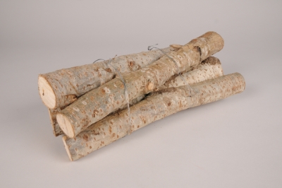 x106lw Fagot de 5 branches de bouleau naturel L35cm