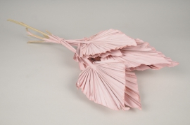 x108kh Pink dried palm spear H57cm