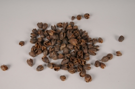 x109ec Natural dried bakuli pods 1kg