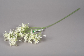 x109ee Saxifrage artificiel blanc H65cm