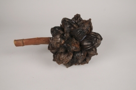 x113lw Brown dried nypa D20cm