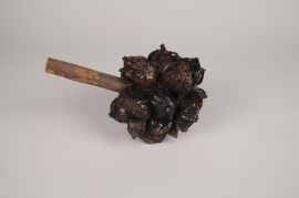 x114lw Brown dried nypa D16cm