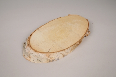 x133lw Tranche de bouleau naturel 29x16cm